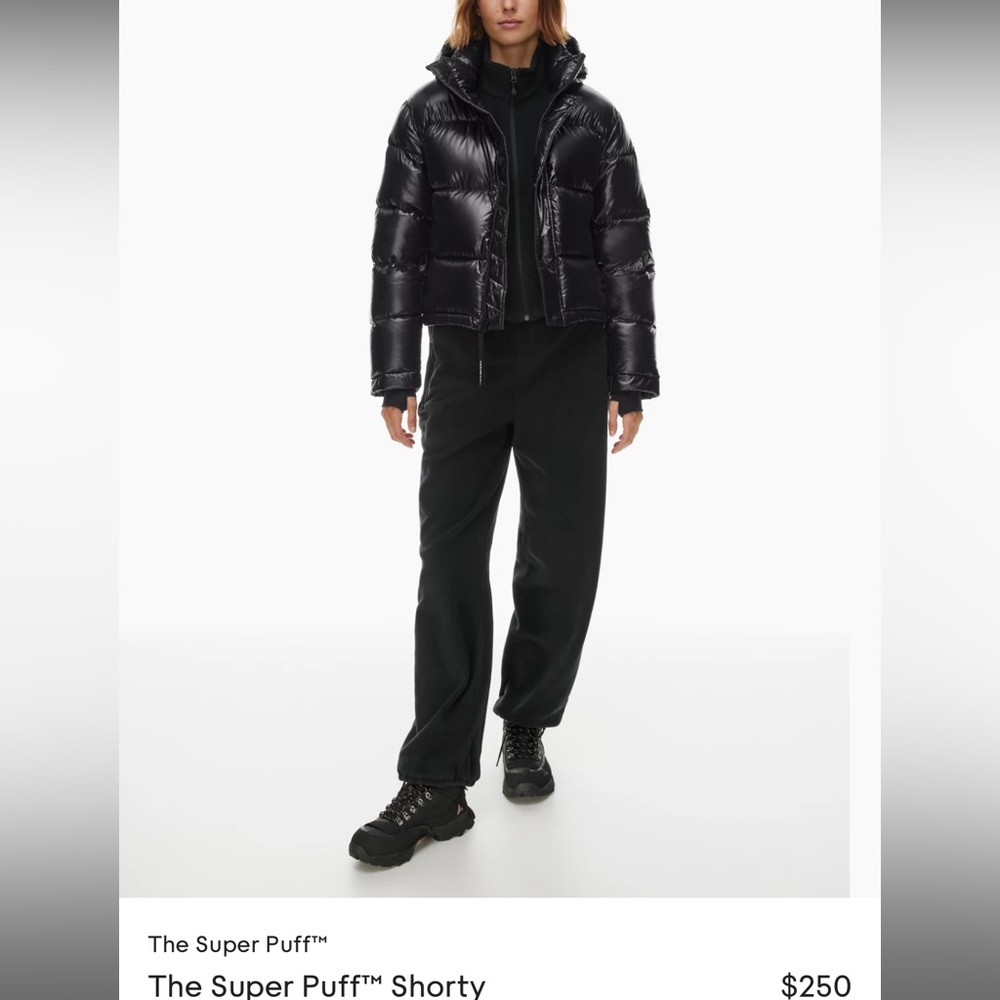 Aritzia cropped black puffer